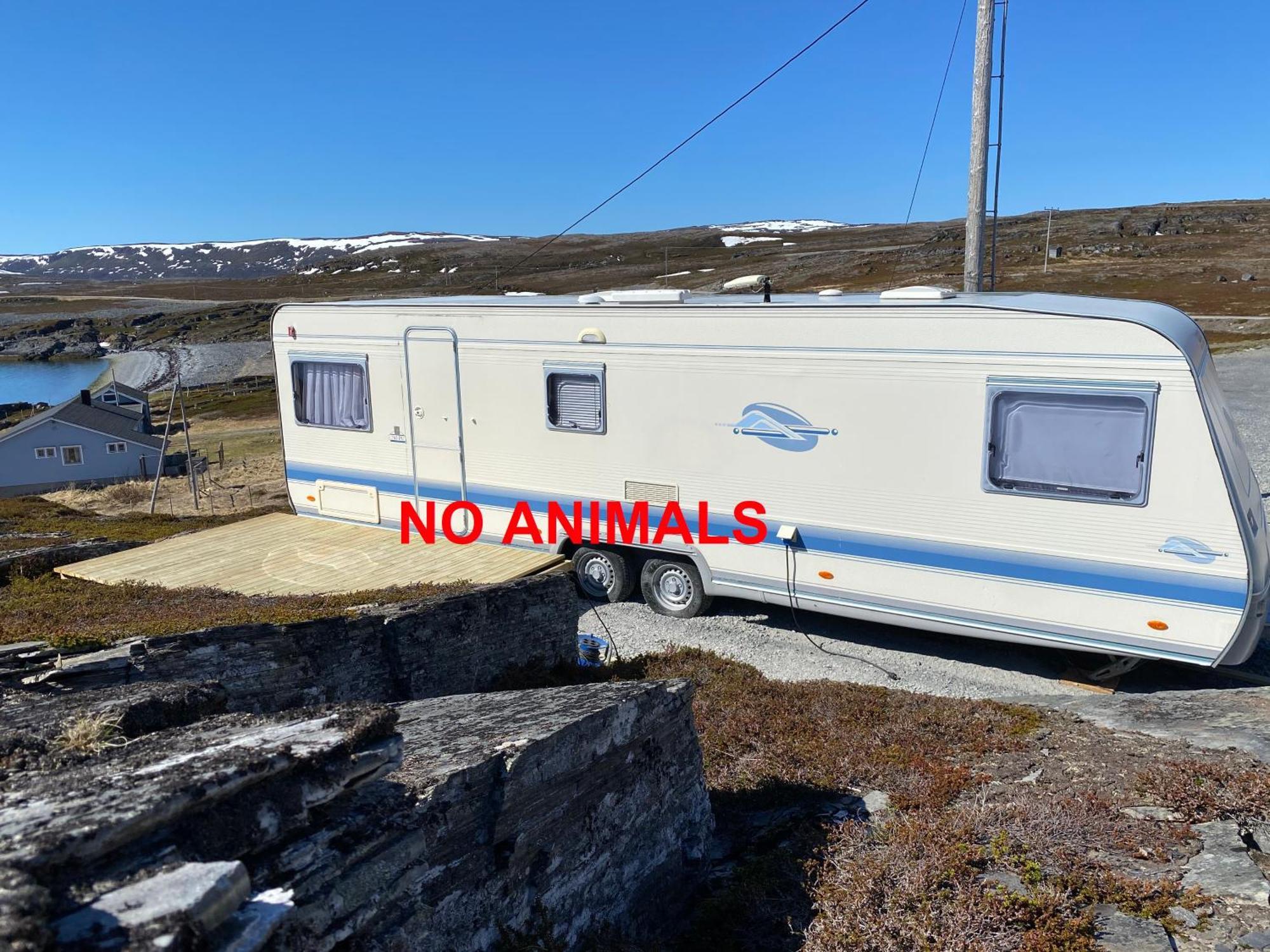 Repvag Overnatting Nordkapp Kamer foto